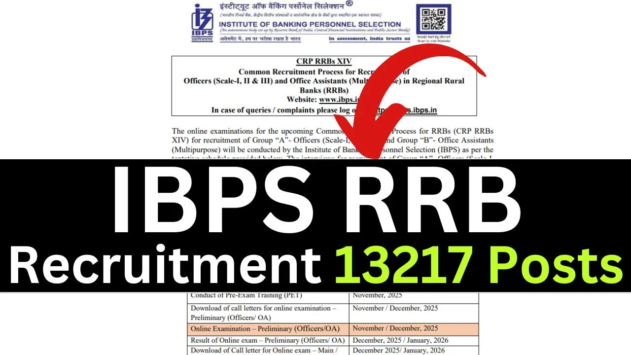 IBPS RRB Office Assistant Bharti Online Form 2025